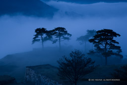 夜明け前の雲海風景｜高解像度画像サイズ：4992 x 3328 pixels｜写真番号：VJ7Z2847｜撮影：Canon EOS-1Ds Mark II