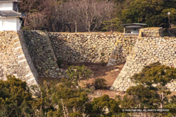 大堀切 | 高解像度画像サイズ:1586 x 1057 pixels | 写真番号:5DSA8304 | 撮影:Canon EOS 5DS