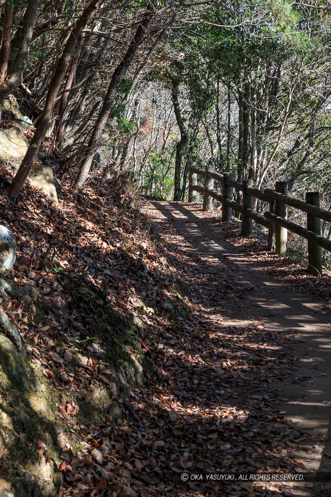 登山道