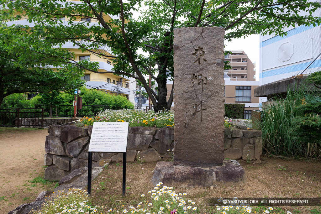 東郷の井