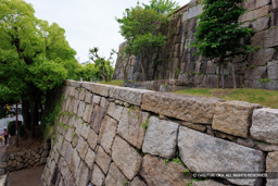 神戸市立花隈駐車場の復興石垣 | 高解像度画像サイズ：8192 x 5464 pixels | 写真番号：344A9462 | 撮影：Canon EOS R5