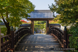 木橋（復興） | 高解像度画像サイズ：8192 x 5464 pixels | 写真番号：344A2884 | 撮影：Canon EOS R5