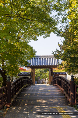 木橋（復興） | 高解像度画像サイズ：5464 x 8192 pixels | 写真番号：344A2885 | 撮影：Canon EOS R5