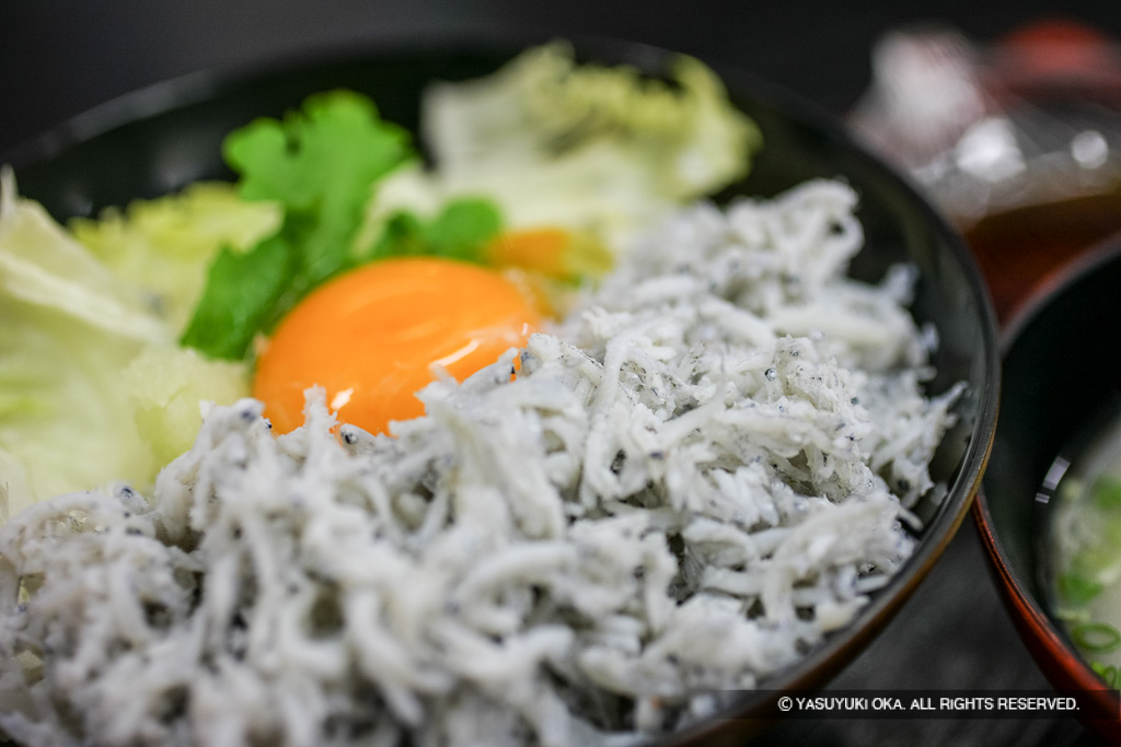 しらす丼