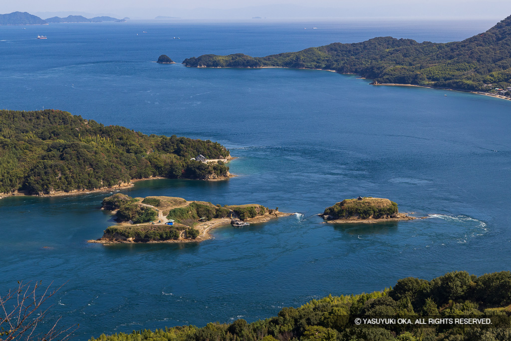 能島城（2020年木々伐採後）