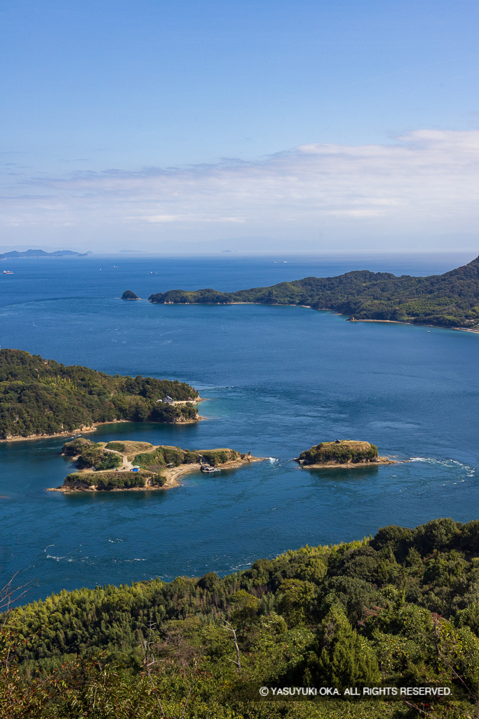 能島城（2020年木々伐採後）