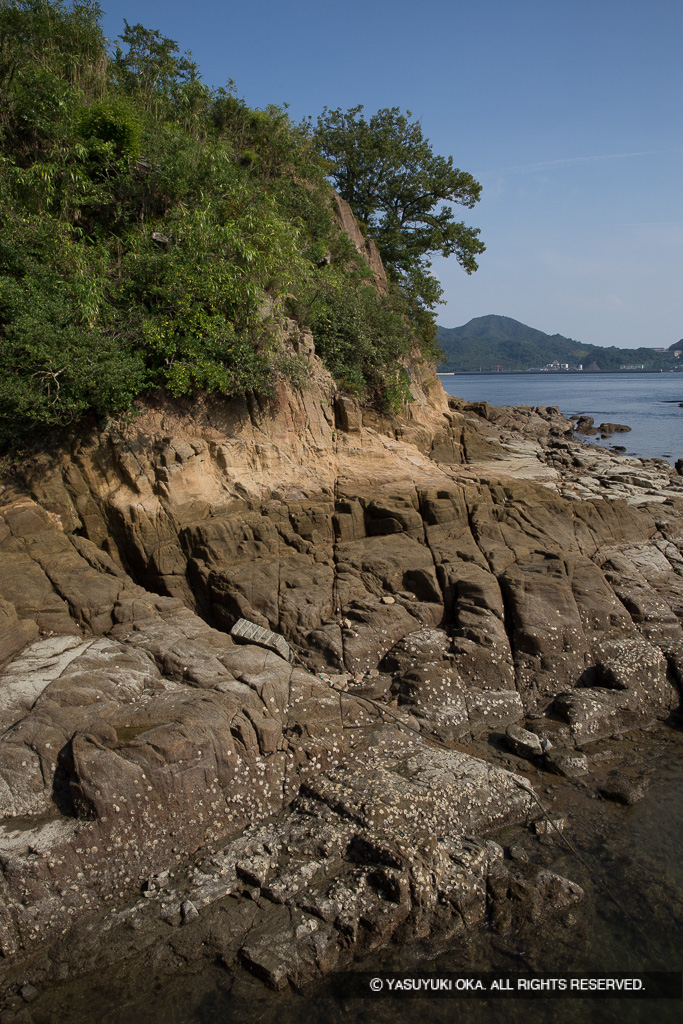 鯛崎出丸下の岩礁