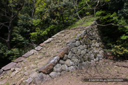 登り石垣 | 高解像度画像サイズ：5616 x 3744 pixels | 写真番号：1P3J4227 | 撮影：Canon EOS-1Ds Mark III