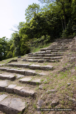 久松山登山道 | 高解像度画像サイズ：3744 x 5616 pixels | 写真番号：1P3J4381 | 撮影：Canon EOS-1Ds Mark III