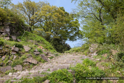  | 高解像度画像サイズ：5616 x 3744 pixels | 写真番号：1P3J4400 | 撮影：Canon EOS-1Ds Mark III