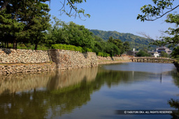 水堀 | 高解像度画像サイズ：6720 x 4480 pixels | 写真番号：5D4A1050 | 撮影：Canon EOS 5D Mark IV