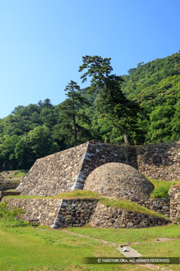 天球丸の巻石垣 | 高解像度画像サイズ：4480 x 6720 pixels | 写真番号：5D4A1111 | 撮影：Canon EOS 5D Mark IV