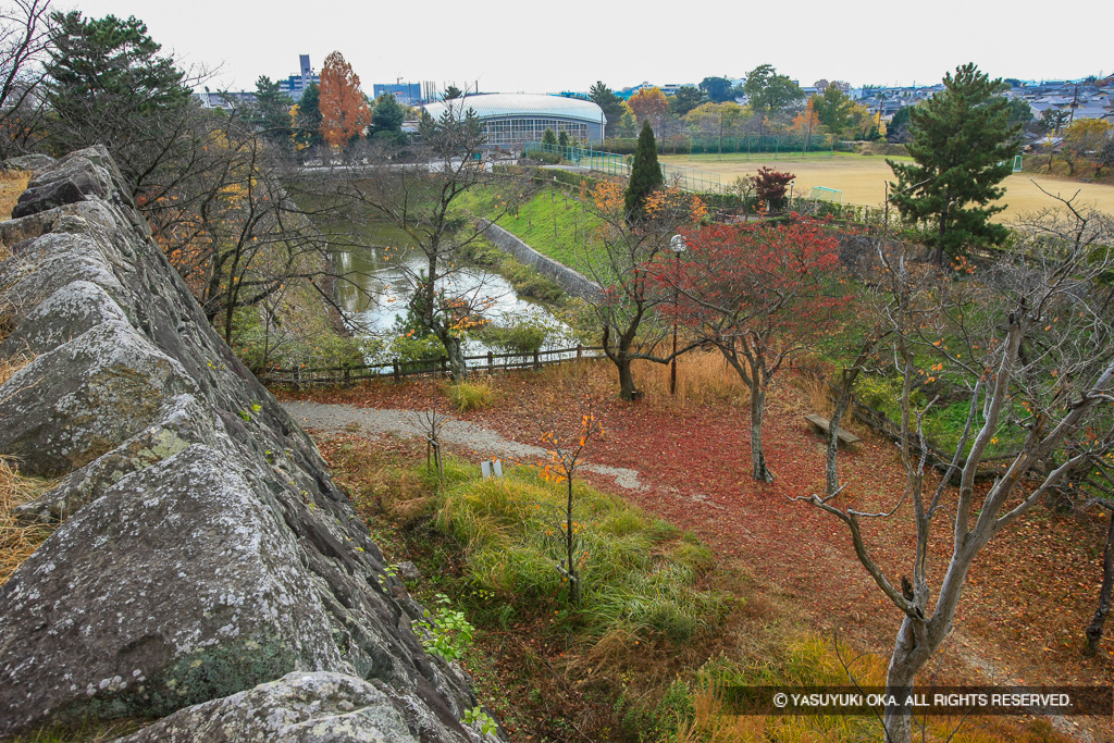 天守台から南を望む・整備前