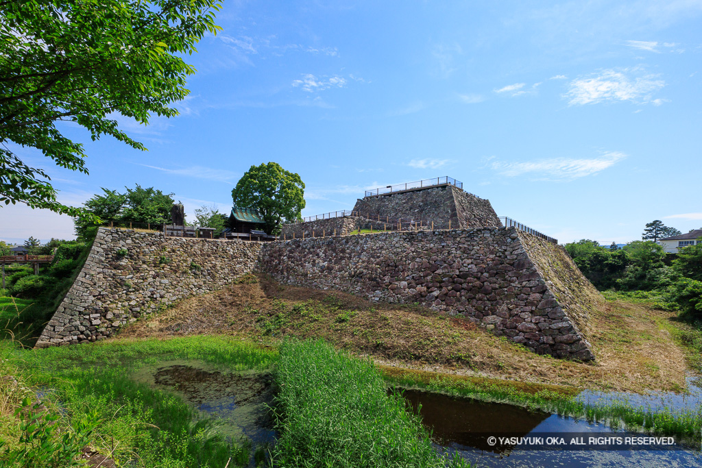 大和郡山城の本丸と天守台・新緑