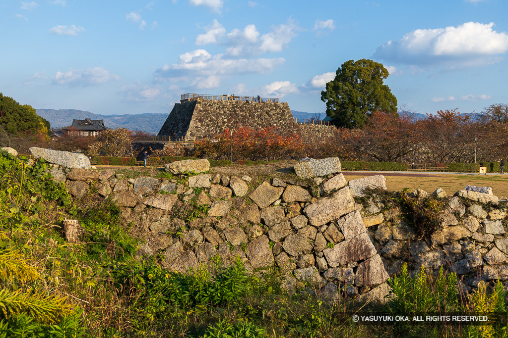 麒麟曲輪から天守台