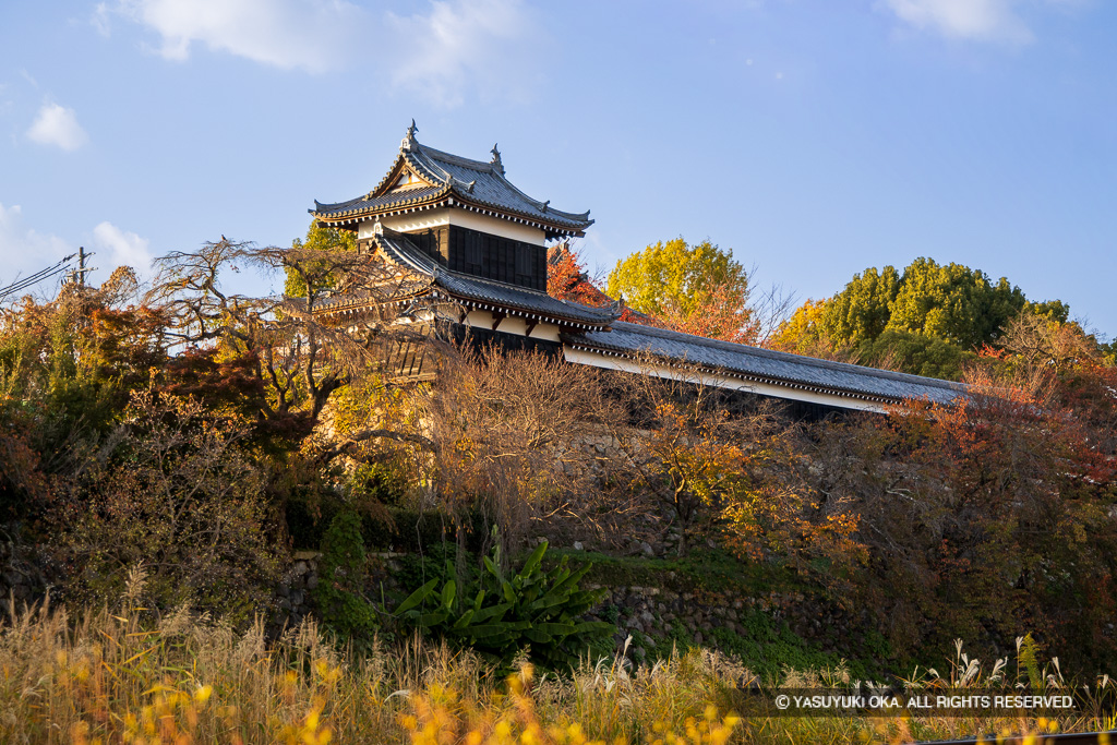 追手東隅櫓と多聞櫓・紅葉