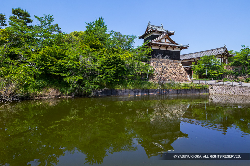 大和郡山城の夏・追手門と追手向櫓・2025