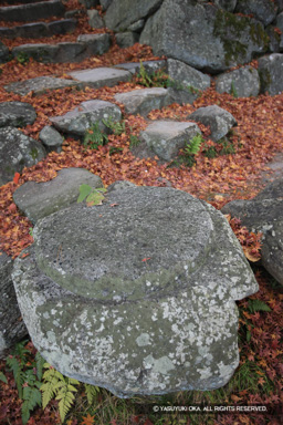 小天守台の転用石 | 高解像度画像サイズ：3744 x 5616 pixels | 写真番号：1P3J0154 | 撮影：Canon EOS-1Ds Mark III