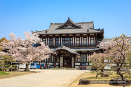 市民会館 | 高解像度画像サイズ：8217 x 5478 pixels | 写真番号：5DSA5404 | 撮影：Canon EOS 5DS