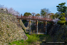 極楽橋 | 高解像度画像サイズ：7857 x 5240 pixels | 写真番号：6F1A5558 | 撮影：Canon EOS R5m2