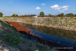 松陰堀 | 高解像度画像サイズ：8192 x 5464 pixels | 写真番号：6F1A6155 | 撮影：Canon EOS R5m2