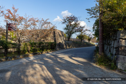 松蔭門跡 | 高解像度画像サイズ：8192 x 5464 pixels | 写真番号：6F1A6156 | 撮影：Canon EOS R5m2