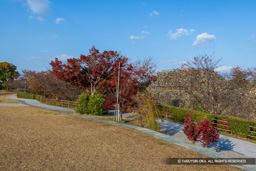 小道 | 高解像度画像サイズ：7067 x 4714 pixels | 写真番号：6F1A6170 | 撮影：Canon EOS R5m2