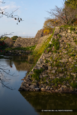 本丸内掘 | 高解像度画像サイズ：5464 x 8192 pixels | 写真番号：6F1A6195 | 撮影：Canon EOS R5m2