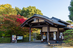 柳澤文庫 | 高解像度画像サイズ：8192 x 5464 pixels | 写真番号：6F1A6200 | 撮影：Canon EOS R5m2