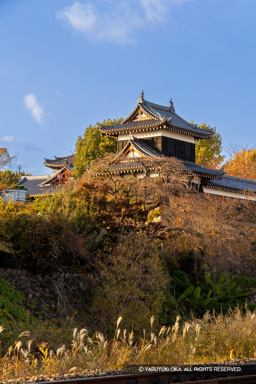 追手東隅櫓・紅葉 | 高解像度画像サイズ：5464 x 8192 pixels | 写真番号：6F1A6210 | 撮影：Canon EOS R5m2