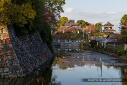 本丸内掘 | 高解像度画像サイズ：8192 x 5464 pixels | 写真番号：6F1A6217 | 撮影：Canon EOS R5m2