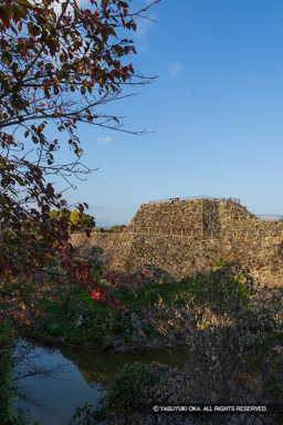 本丸石垣・天守台・紅葉 | 高解像度画像サイズ：5464 x 8192 pixels | 写真番号：6F1A6224 | 撮影：Canon EOS R5m2