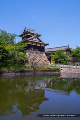 大和郡山城の夏・追手門と追手向櫓・2025 | 高解像度画像サイズ：5219 x 7825 pixels | 写真番号：6F1A9115 | 撮影：Canon EOS R5m2