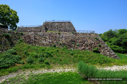 大和郡山城の本丸と天守台・新緑 | 高解像度画像サイズ：8120 x 5416 pixels | 写真番号：6F1A9126 | 撮影：Canon EOS R5m2
