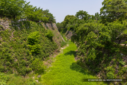 本丸空掘・新緑 | 高解像度画像サイズ：8192 x 5464 pixels | 写真番号：6F1A9134 | 撮影：Canon EOS R5m2