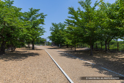 本丸跡・新緑 | 高解像度画像サイズ：8192 x 5464 pixels | 写真番号：6F1A9136 | 撮影：Canon EOS R5m2