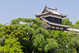 追手東隅櫓・新緑 | 高解像度画像サイズ：7876 x 5253 pixels | 写真番号：6F1A9184 | 撮影：Canon EOS R5m2