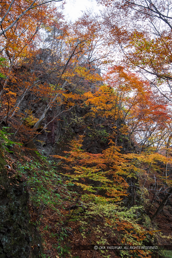 岩櫃山山頂までの道（尾根通り）風景