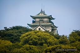 天守遠望 | 高解像度画像サイズ：3620 x 2409 pixels | 写真番号：100-4201S53B-Edit | 撮影：Canon EOS-1DS