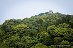 天守遠望 | 高解像度画像サイズ：4064 x 2704 pixels | 写真番号：100-4283S53B-Edit | 撮影：Canon EOS-1DS