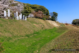 空掘と土塁・桜 | 高解像度画像サイズ：8192 x 5464 pixels | 写真番号：344A9061 | 撮影：Canon EOS R5