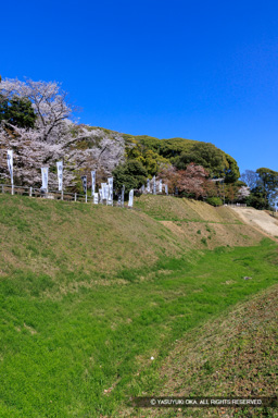 空掘と土塁・桜 | 高解像度画像サイズ：5464 x 8192 pixels | 写真番号：344A9062 | 撮影：Canon EOS R5