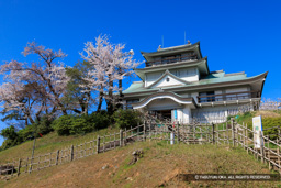 小牧山城と桜（2023年桜伐採） | 高解像度画像サイズ：8192 x 5464 pixels | 写真番号：344A9090-Edit | 撮影：Canon EOS R5