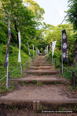 大手道 | 高解像度画像サイズ：5418 x 8124 pixels | 写真番号：344A9727 | 撮影：Canon EOS R5