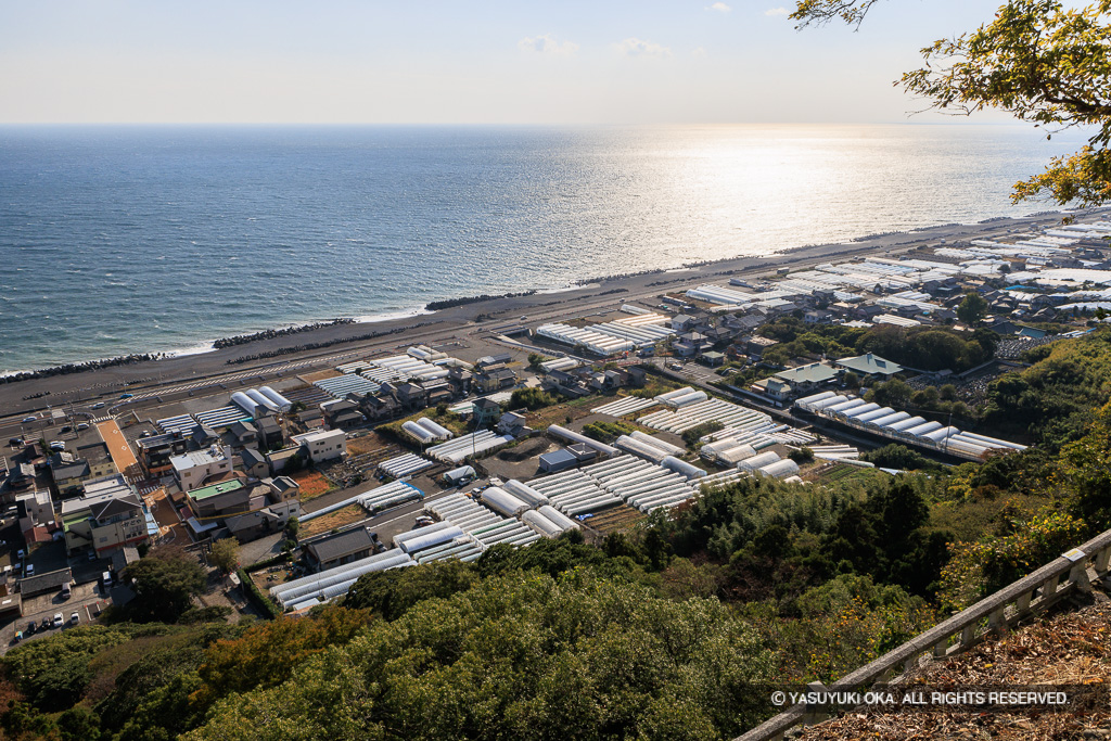 久能山城からいちご園