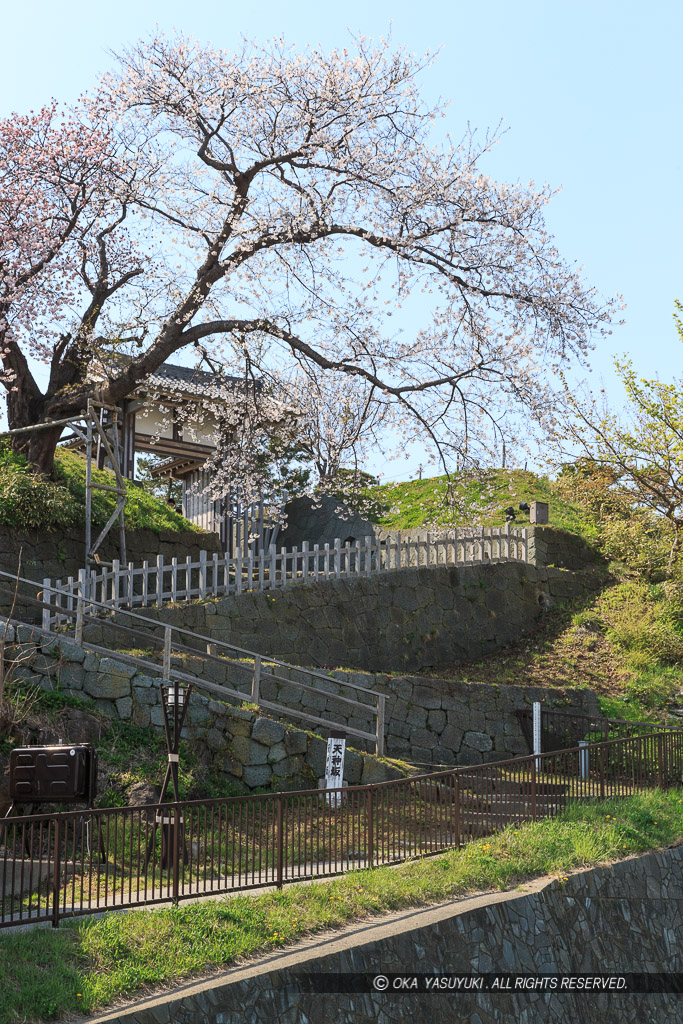 松前城天神坂・夫婦桜・南殿・八重