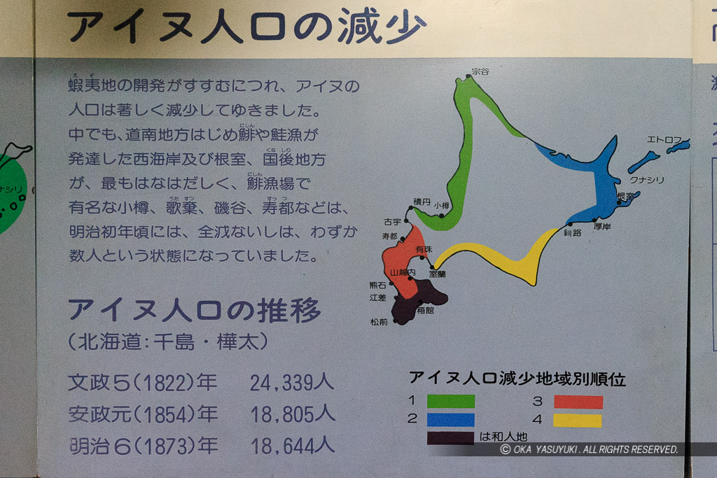 アイヌ人口の減少