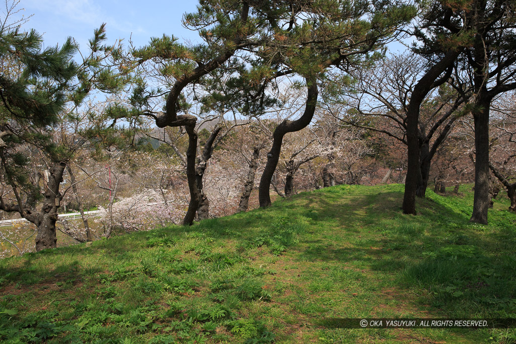 松前城の風景