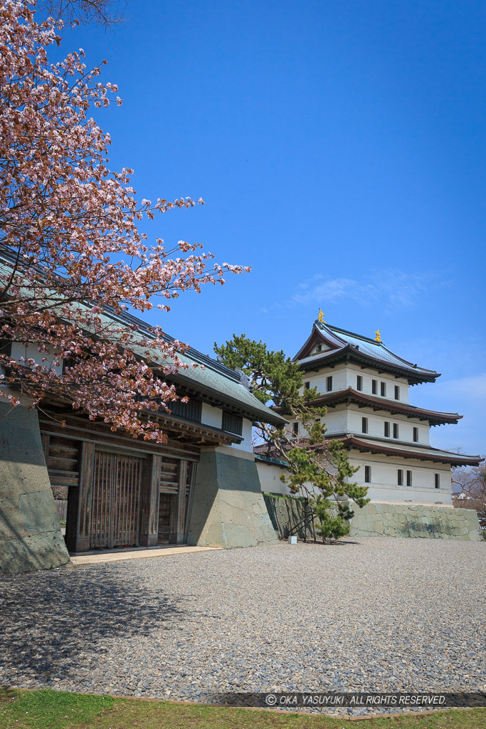 松前城の桜・本丸御門・天守