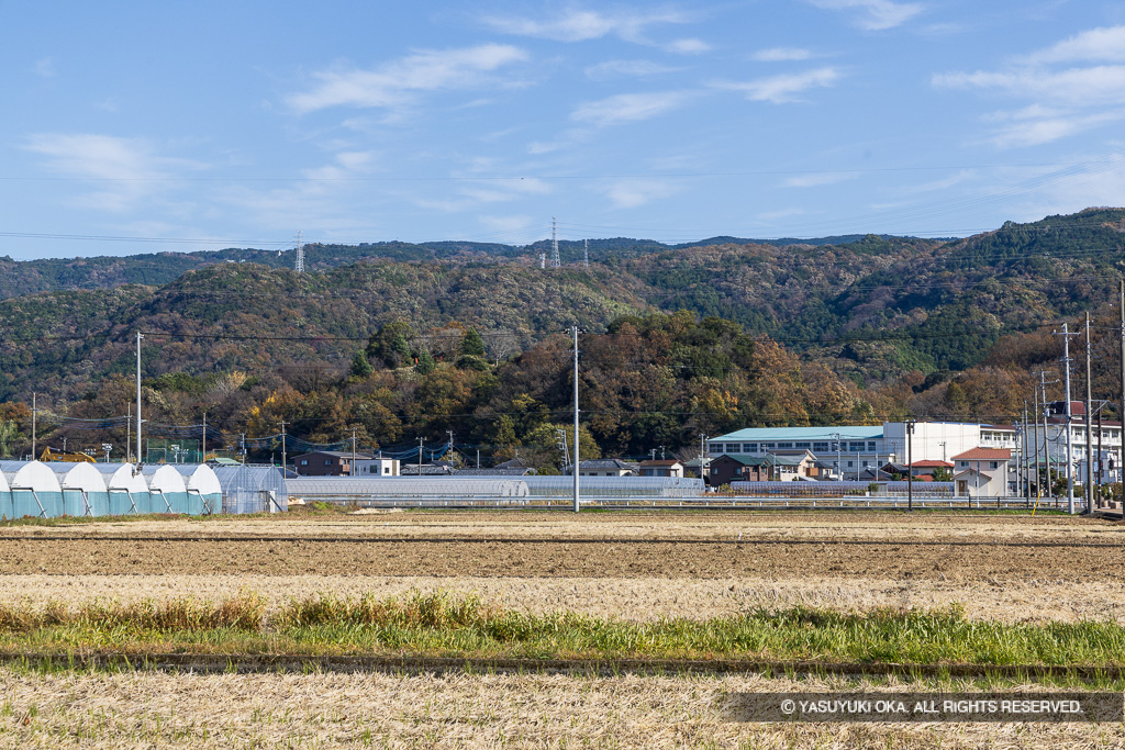 韮山城遠景